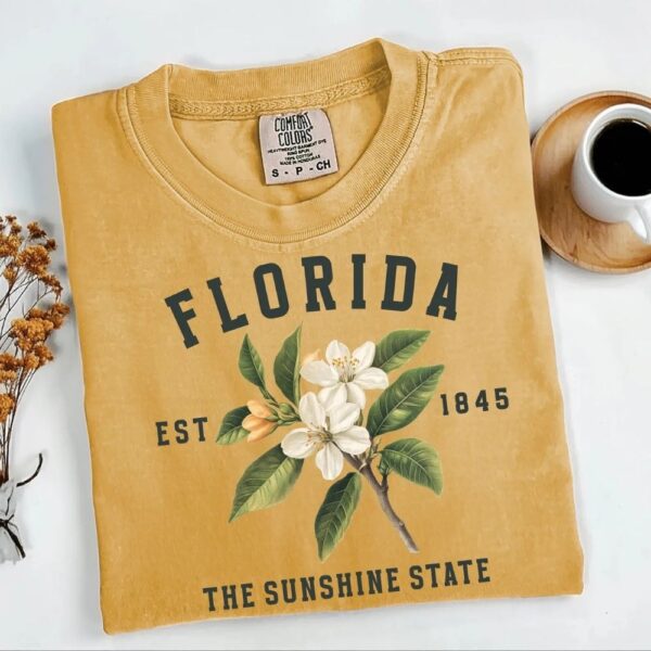 florida tshirt, orange blossom graphic tee
