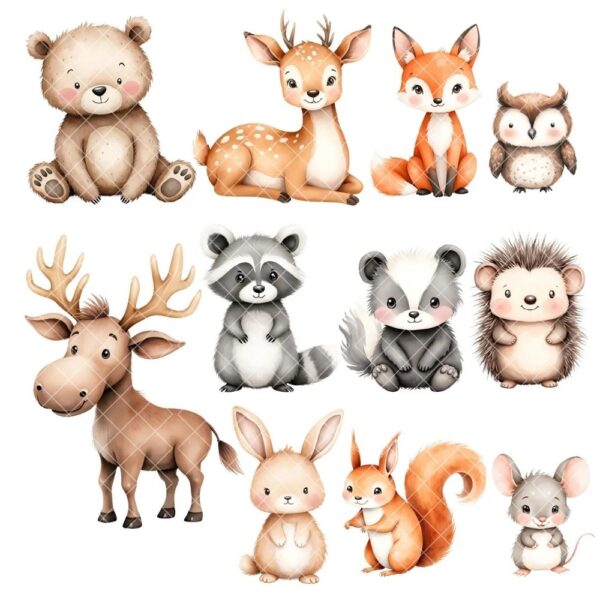 cute woodland animal clipart
